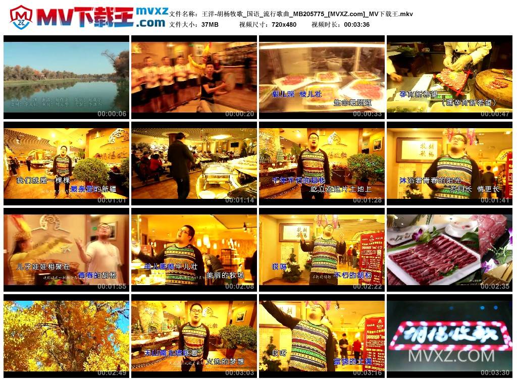 王洋-胡杨牧歌_国语_流行歌曲_MB205775